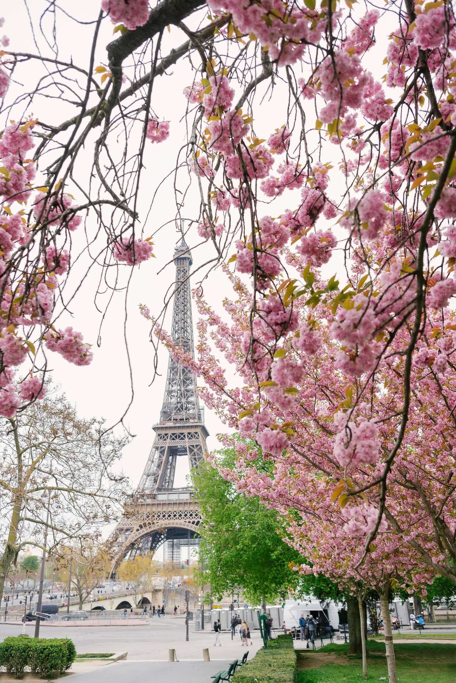 EIFFEL TOWER SUMMIT TOUR & SEINE RIVER CRUISE | SMALL GROUP