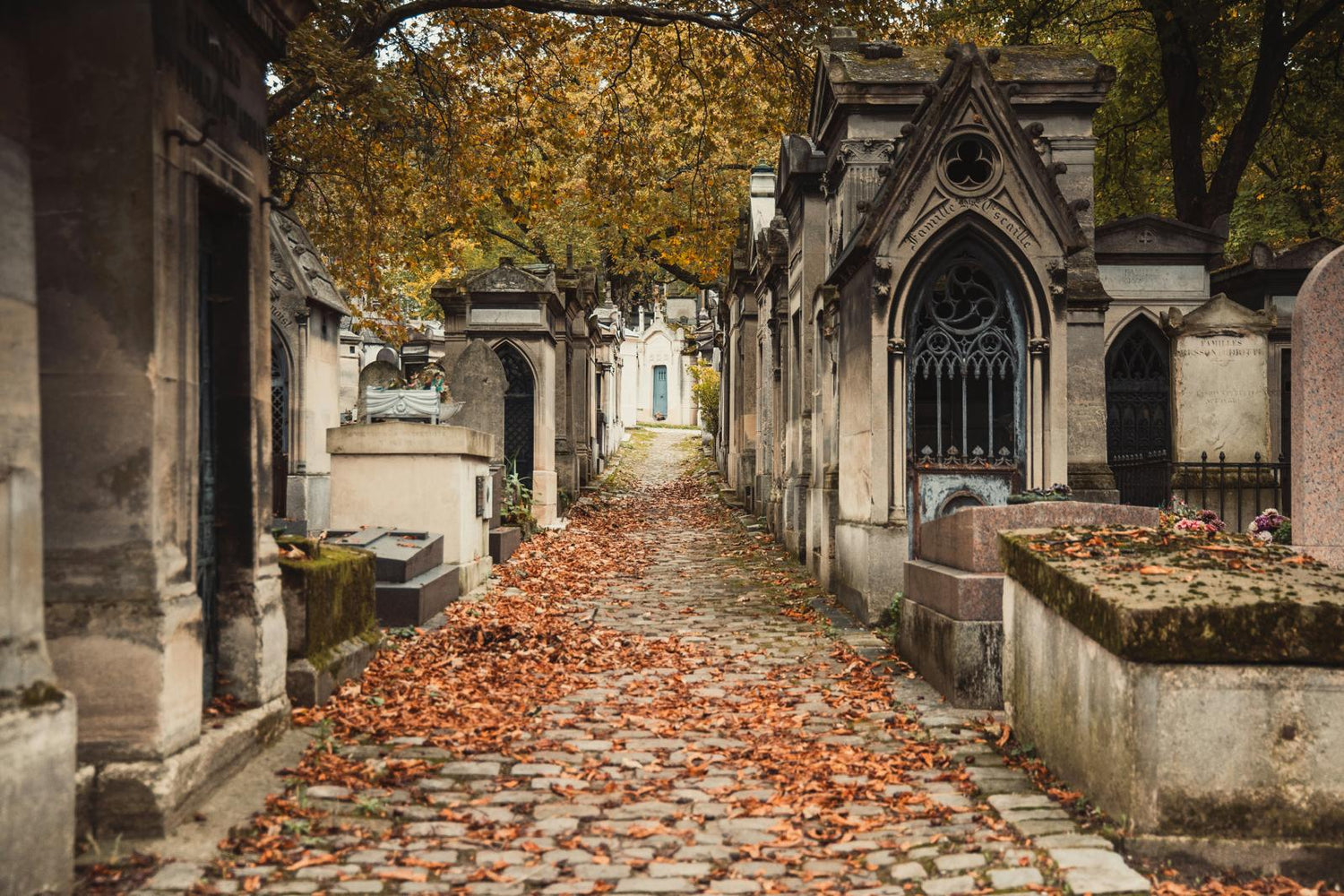 PERE LACHAISE WALKING TOUR : HISTORY, ICONS & WINE APERO