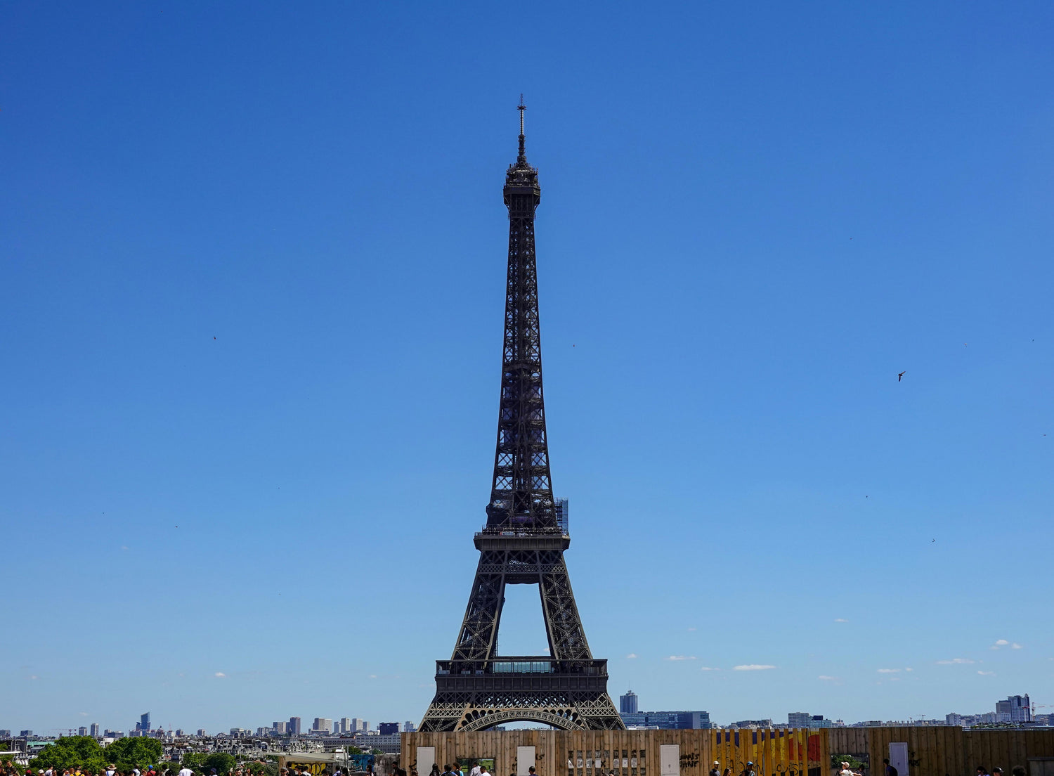 EIFFEL TOWER 2ND FLOOR TOUR & SEINE RIVER CRUISE | SMALL GROUP